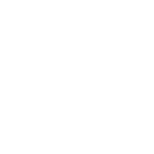 The Orion Correlation Logo (Square)